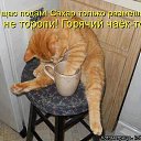 ���� ������, ������������ - ��������� 14 ���� 2014 � ������ ������ ��������