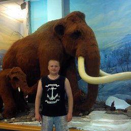 ���� ������, ���������, 48 ��� - ��������� 31 ���� 2014