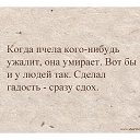 ���� �����, ������ - ��������� 16 ����� 2014 � ������ ������ ��������