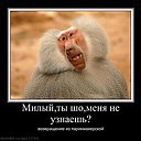 ���� ������., ������, 65 ��� - ��������� 6 ��� 2014 � ������ �����,� �����...�