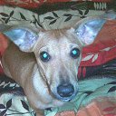 ���� ���������, ��������, 50 ��� - ��������� 2 ��� 2014 � ������ �����