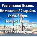 ������ ������ �� ������� ���� ����������