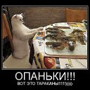 ���� Seat, ���������, 56 ��� - ��������� 10 ������ 2014 � ������ ���� ����������