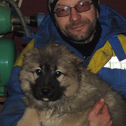 �������, �����, 57 ���