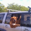 ���� ������, �������������, 61 ��� - ��������� 9 ������� 2014 � ������ ������ ��������