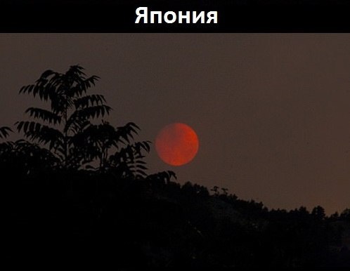 THE DUMP - 17 ������� 2014 � 16:55 - 4