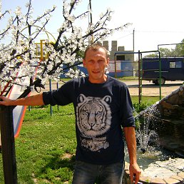 �����, ����������, 48 ���