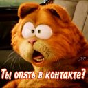 ���� �������, �������������� - ��������� 7 ���� 2014 � ������ ���� ����������