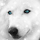 ���� ������, ������� - ��������� 24 ������ 2014