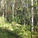 ���� �������, �����-���������, 46 ��� - ��������� 10 ������ 2014 � ������ ������ ��������