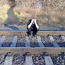 ���� ��������, ���������, 33 ���� - ��������� 10 ��� 2014 � ������ ������ ��������