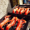 ���� �������(���������� ����), ������� - ��������� 11 ������� 2014 � ������ ���� ����������