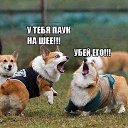 ���� ����, ������ - ��������� 31 ��� 2014 � ������ �))))�