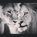 ���� Leonid, �����-���������, 39 ��� - ��������� 4 ���� 2014 � ������ ������ ��������