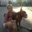 ���� ����, ���������, 46 ��� - ��������� 10 ���� 2014 � ������ ���� ����������