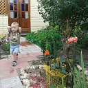 ���� �����, ���� - ��������� 15 ������� 2014 � ������ ������ ��������