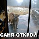 ���� ���������, ��������, 50 ��� - ��������� 9 ���� 2014 � ������ ������ ��������