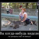 ���� ����, ������ �������� - ��������� 24 ���� 2014 � ������ ������ ��������