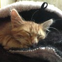 ���� Draver, ������, 60 ��� - ��������� 27 ���� 2014 � ������ ���� ����������