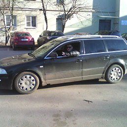 ������, �����-���������, 44 ����