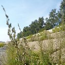 ���� �����, ������� - ��������� 18 ������� 2014 � ������ �17.08.2014�.�