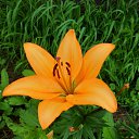  , , 64  -  22  2014    .