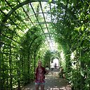 ���� �����, �����-���������, 47 ��� - ��������� 13 ���� 2014 � ������ ��������� �� ������