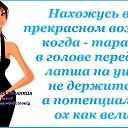 ���� ����, �����-��������� - ��������� 23 ����� 2014
