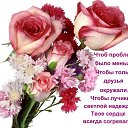 ���� ������, ������ �������� - ��������� 23 ��� 2014 � ������ ������ ��������