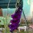 ���� Alehka, ��������, 47 ��� - ��������� 3 ������� 2014