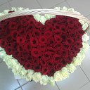  , -, 56  -  12  2014    