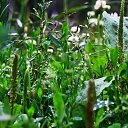 ���� �����, �����-��������� - ��������� 21 ���� 2014 � ������ ���� ������� ����