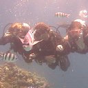 ���� ���������, ������, 43 ���� - ��������� 23 ��� 2014 � ������ ��������, ������� 2014�