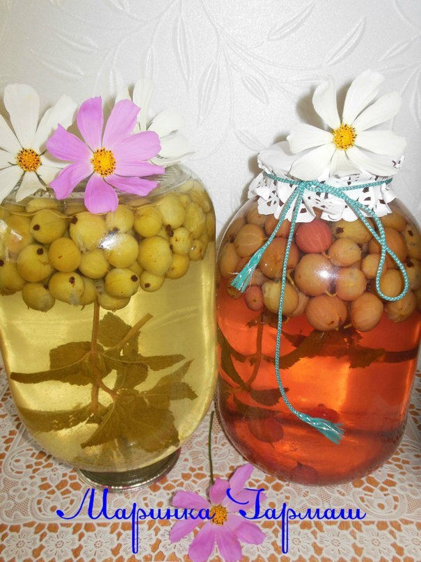 Напиток крыжовник+мята... Ингредиенты: 3 л воды 1,5 ст сахара 2 веточки мяты 1 л банка крыжовника ...