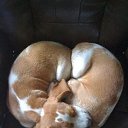 ���� ������, ���������� - ��������� 13 ��� 2014 � ������ ���� ����������