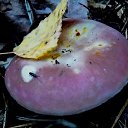 ���� �����, �����, 64 ���� - ��������� 6 ��� 2014 � ������ ������������ ������