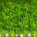 ���� ���, ���� - ��������� 26 ����� 2014 � ������ ���� ����������