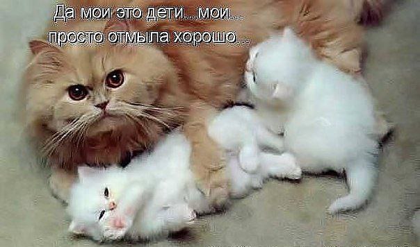 �������������� �� ���� �������� <a href=