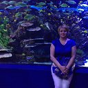 ���� �����, ������, 51 ��� - ��������� 26 ���� 2014 � ������ ���� ����������