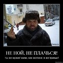���� �������, ������ ��������, 36 ��� - ��������� 5 ���� 2014 � ������ ������ ��������