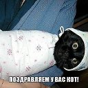 ���� ����, ������ - ��������� 31 ��� 2014 � ������ �))))�