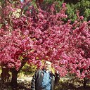 ���� ������, ����������, 47 ��� - ��������� 16 ���� 2014