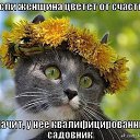 ���� ����, ���, 51 ��� - ��������� 10 ���� 2014 � ������ ������ ��������
