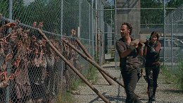   (The Walking Dead).  4.  5