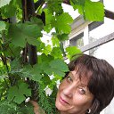 ��� ����. �� ������� ���� ����������