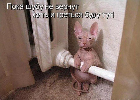 А ВАМ НЕ ХОЛОДНО?