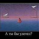 ���� �������, �������, 41 ��� - ��������� 3 ��� 2014 � ������ ������ ��������