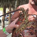 ���� ������, �������, 62 ���� - ��������� 4 ������ 2014 � ������ ���� ����������