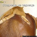 ���� ���� �-238, ������ - ��������� 26 ���� 2014 � ������ ������ ��������