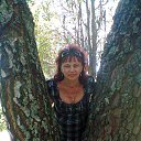  Tatjana, , 63  -  24  2014    